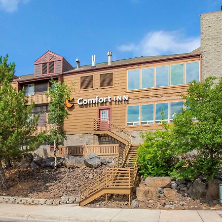 Comfort Inn I-17 & I-40 Flagstaff Exterior photo