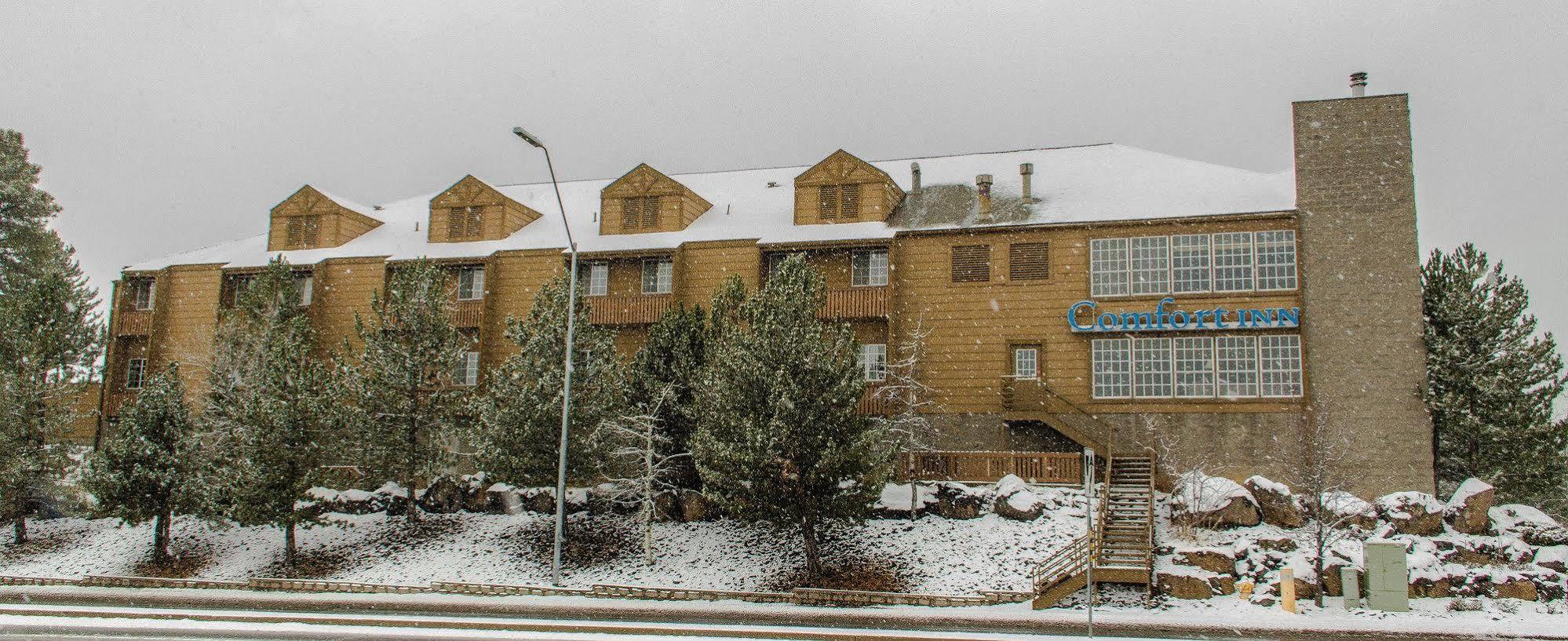 Comfort Inn I-17 & I-40 Flagstaff Exterior photo